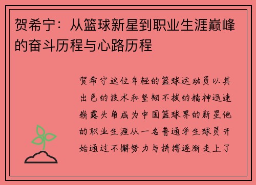 贺希宁：从篮球新星到职业生涯巅峰的奋斗历程与心路历程