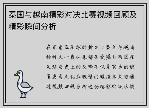 泰国与越南精彩对决比赛视频回顾及精彩瞬间分析