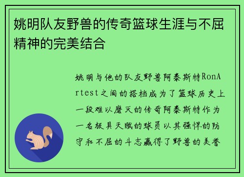 姚明队友野兽的传奇篮球生涯与不屈精神的完美结合
