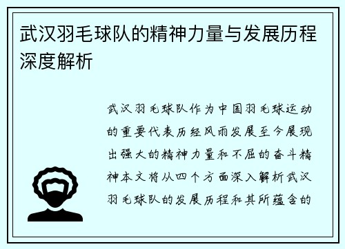 武汉羽毛球队的精神力量与发展历程深度解析